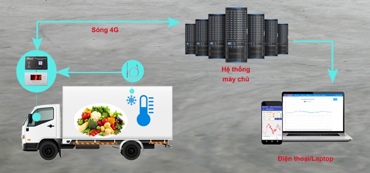 Theo dõi nhiệt độ khi vận chuyển dược phẩm